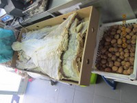 /album/galeria-de-fotos-sobre-nos/img-0692-jpg/